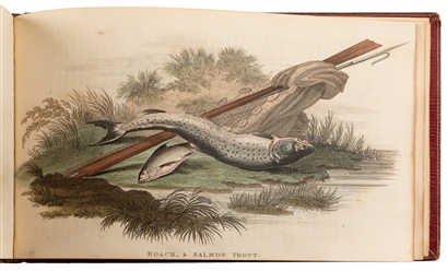  [COLOR-PLATE BOOKS]. HOWITT, [Samuel, 1756? -1822]. British...