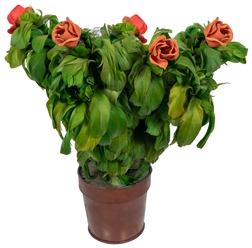  Blooming Bouquet. Akron: H. Marshall & Co., 1950s. A large ...
